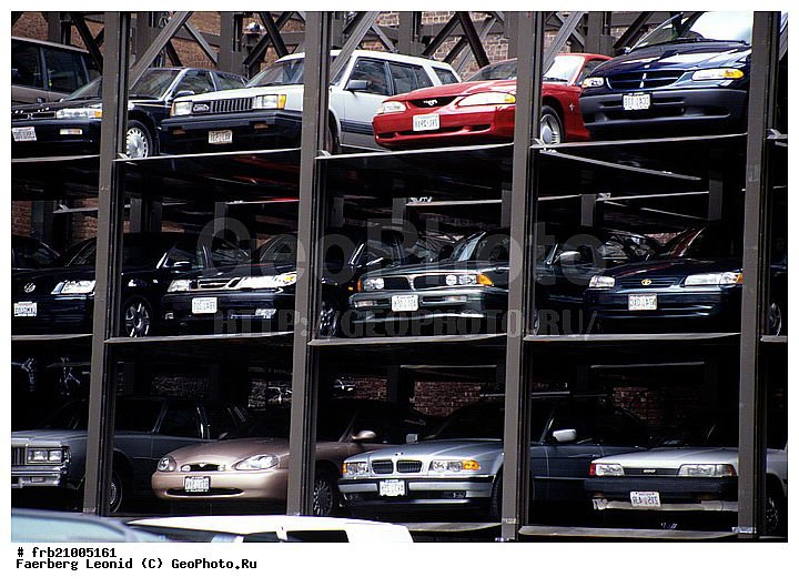 ������, ����������, ��� ����, �������, ��������, �������, ���������