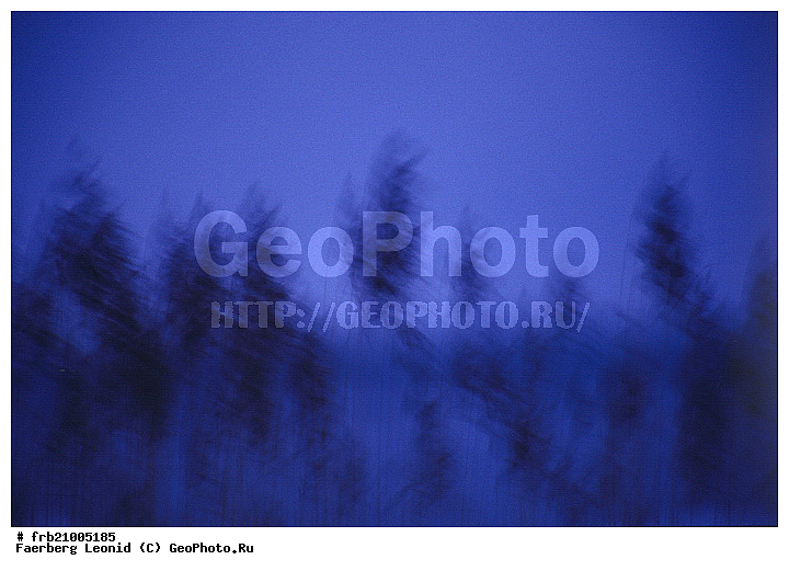 ���������, �����