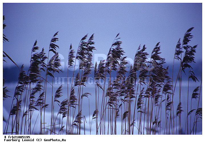 ���������, ����, ������, ���������, �����