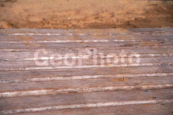 ����, �����, �������� �����, �������, ����������� �������, ������, �������, ����, �����, ������, �����, ����, �������