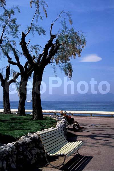 �������� �����, �������, ����������� �������, ������� �������, ������, ����, �����, ����, ����������, ������, �����, ����������, ������, ��������, ����