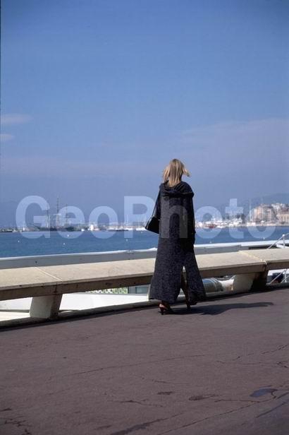 �������� �����, �������, ����������� �������, ���������, �������, ����, �����, ���������� �������, ������, ��������