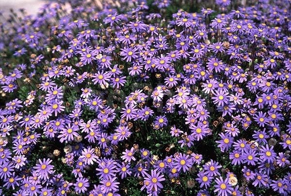 ����, �����, �������� �����, �������, ����������� �������, �����, ����, �����, ������, ��������� ����