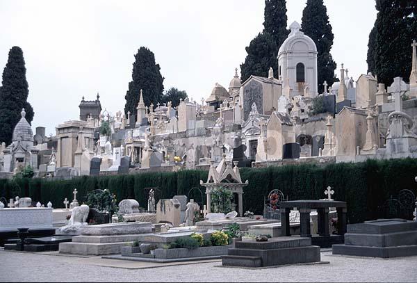 �����, ��������, �������� ����, ������, ������ ������� �. �, ��������, ������, ���� ����