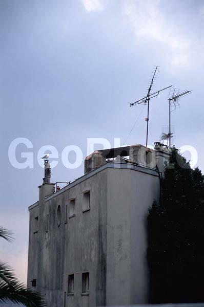 �����, ���, ����� ����, ��������� ����, �������, ������ ������, ���� ����, �����