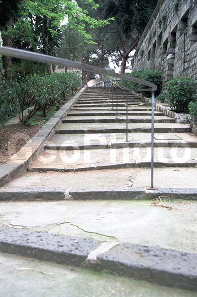 �����, ��������, ����, �����������, �������, ���� ����