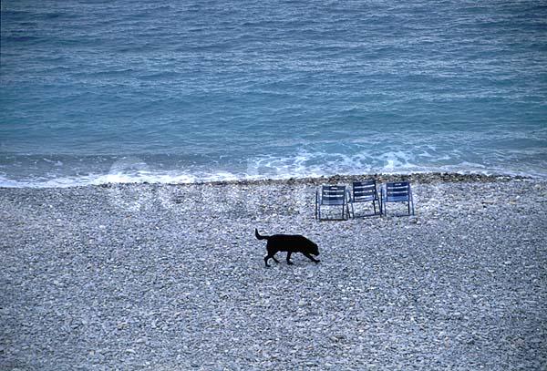 ����, �����, �����, ����������� ����, ����, ������, ����