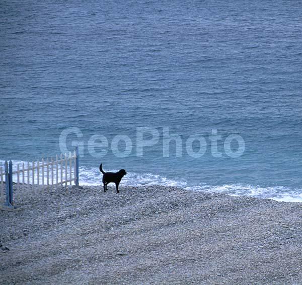 ����, �����, �����, ��������, ����, ������