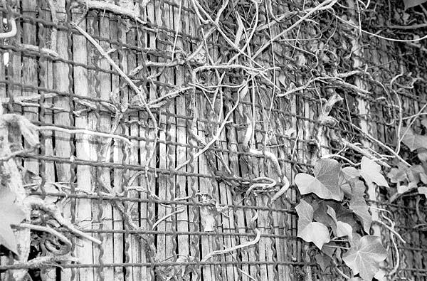 ����, �������� �������� �� �����, �����, ������������� �����, ��������, �������, ������, ����������