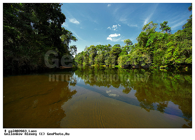 Tad Leuk, ����, ������� Tad Leuk, �������, ����������� ���