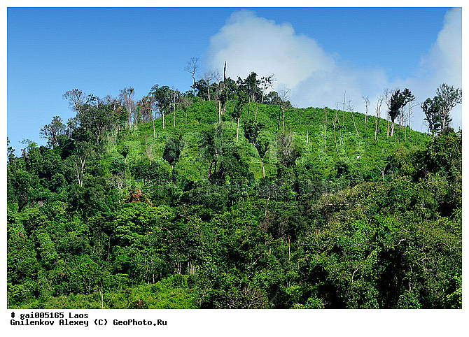 ����, ���� Ngum