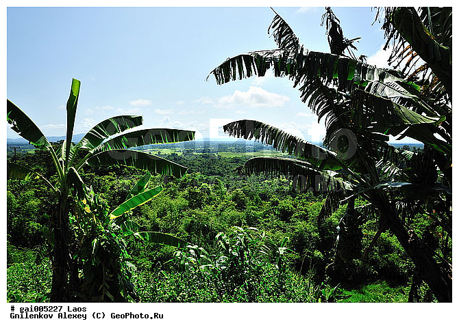 �������� ���� Ngum, ����, ��������� ����, �������, ������, ��������� ������, ������