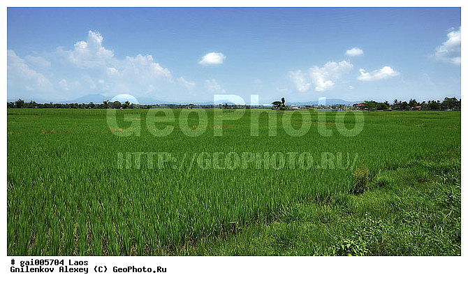 ����, ����, �������, �������, �������, ������, ��������������, ������� ����, �����