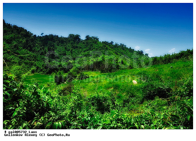 ����, ����, ���, ������� ����