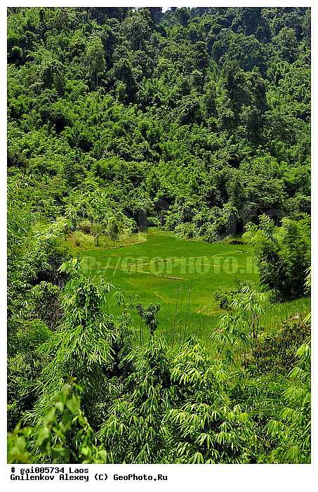 ����, ��� ������, ������ ���, �������, �������, ��������������, ������� ����, �����