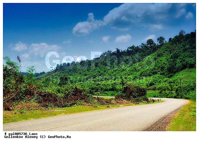 ����, ������