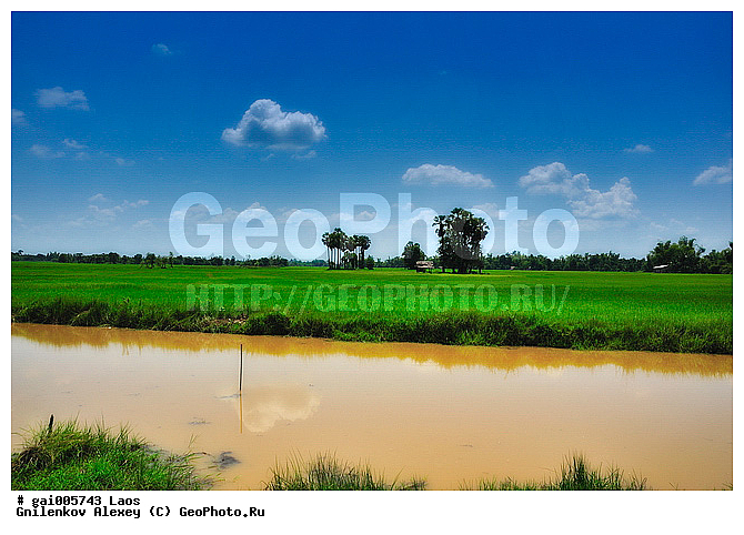 ����, ����, ����, ���, ������� ����