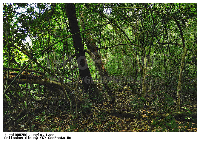 ����, �������, �������, ����� �������, �������, ���, ��������������, ����� ������, �����������, ����������� ���