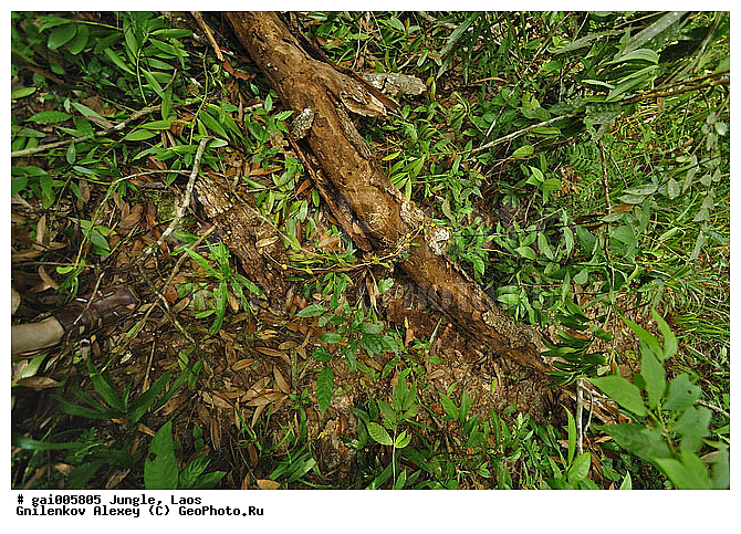 ����, �������, �������, ����� �������, �������, ���, ������, ��������������, �����������, ����������� ���