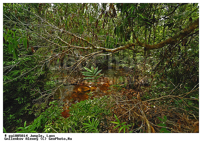 ����, �������, �������, ����� �������, �������, ���, ������, ��������������, �����������, ����������� ���