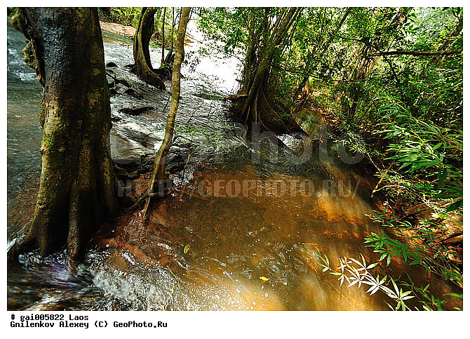 ����, ����, �������, �������, ���, ������������ ����, ������������ ���� Phou Khao Khouay, �����, ��������������, �����, �������, ����������� ���