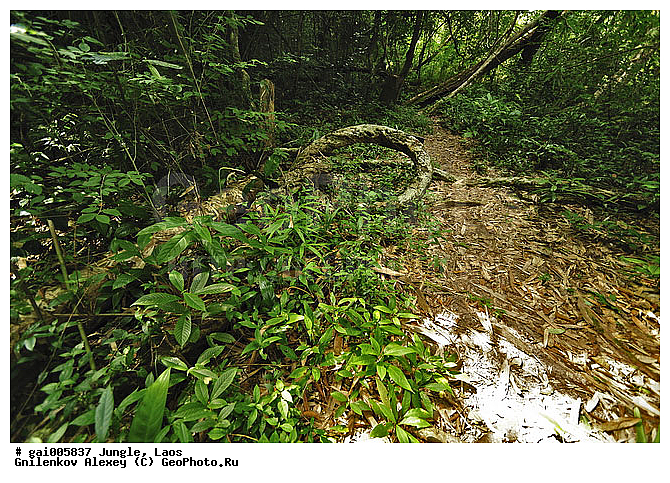 ����, �������, �������, ����� �������, �������, ���, ������, ��������������, �����������, ����������� ���