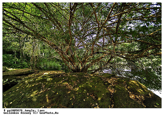 ����, �������, �������, ����� �������, �������, ���, ������, ��������������, �����������, ����������� ���