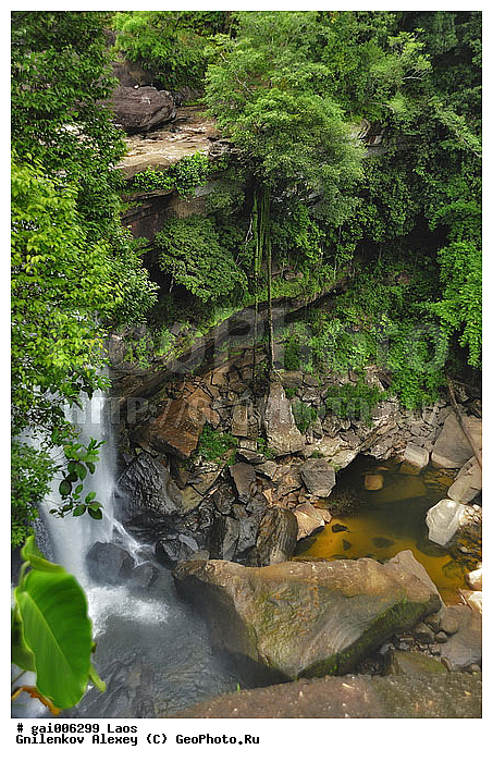 ����, ����, �������, ������� Tad Xay, �������, �������, �����, �����, ��������������, �����, �������