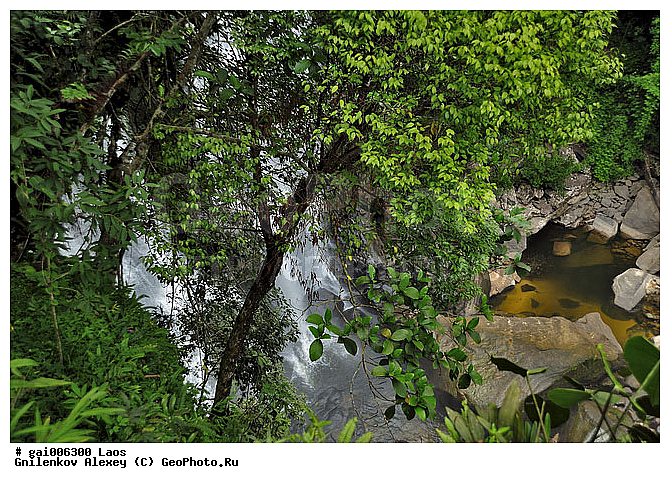 ����, ����, �������, ������� Tad Xay, �������, �������, �����, �����, ��������������, �����, �������