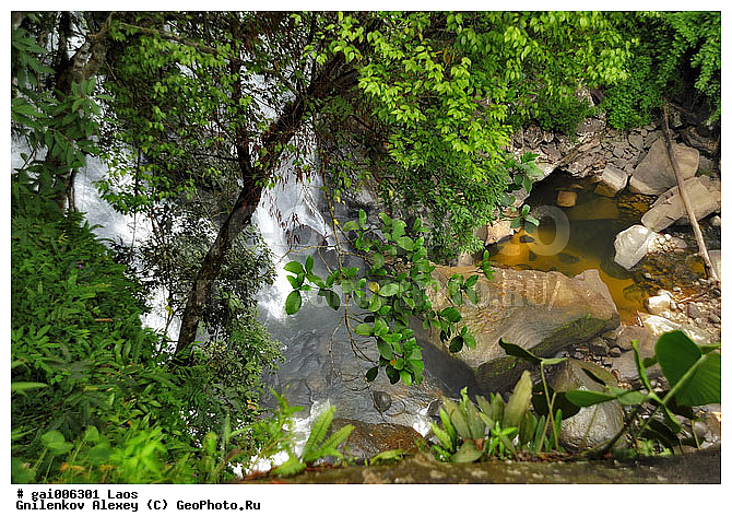 ����, ����, �������, ������� Tad Xay, �������, �������, �����, �����, ��������������, �����, �������