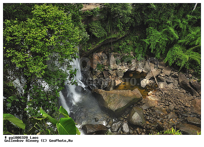 ����, ����, �������, ������� Tad Xay, �������, �����, ��������������