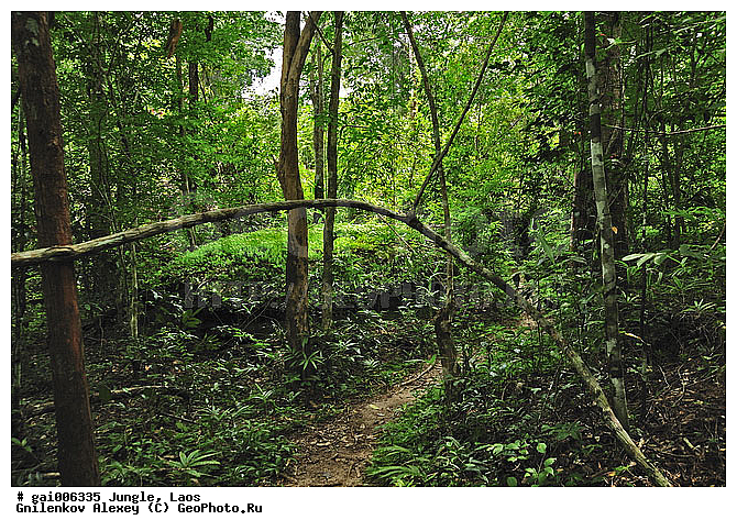 ����, �������, �������, ����� �������, �������, ���, ������, ��������������, ����� ������, �����������, ����������� ���