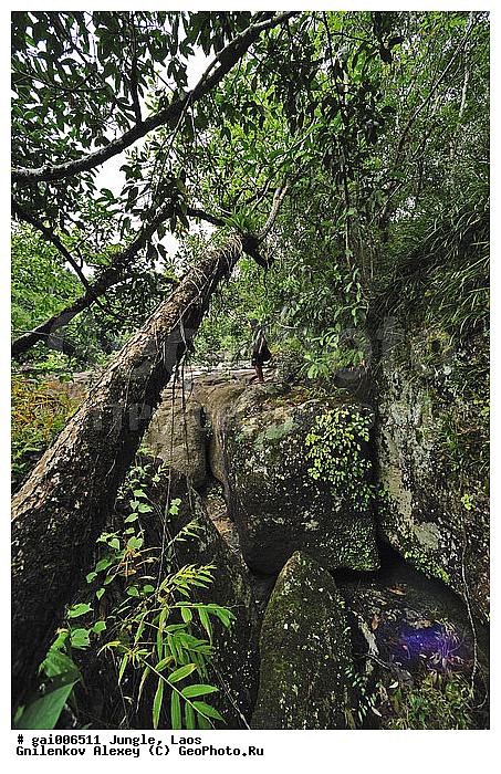 ����, �������, �������, ����� �������, �������, �����, ���, ������, ���������, ���, ��������������, ����� ������, �����������, ����������� ���