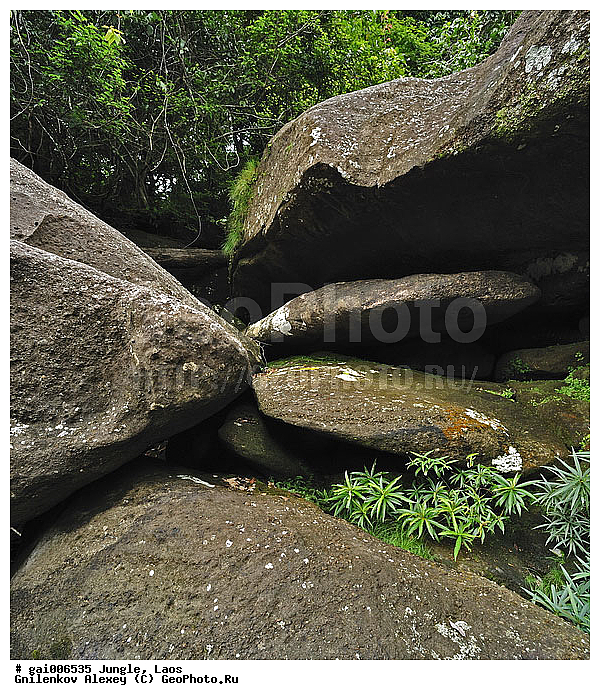 ����, ������, �������, �������, ����� �������, �������, �����, ���, ������, ���������, ���, ��������������, �����������, ����������� ���