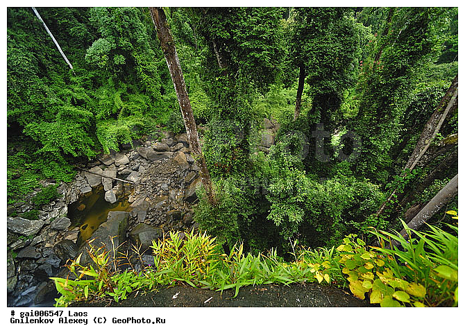 ����, �������, �������, �������, ���, �����, ��������������, �����, �������, �����������, ����������� ���