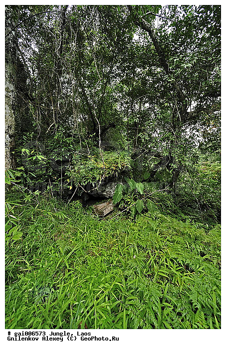 ����, �������, �������, ����� �������, �������, ���, ������, ��������������, �����������, ����������� ���