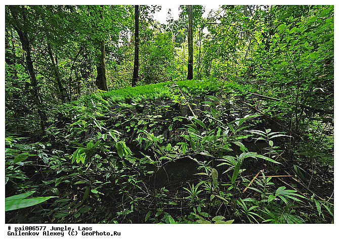 ����, �������, �������, ����� �������, �������, ���, ������, ��������������, �����������, ����������� ���