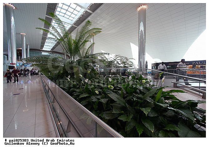 �����, ���, ������������ �������� �������, �������, ��������, ������ ���, ���������