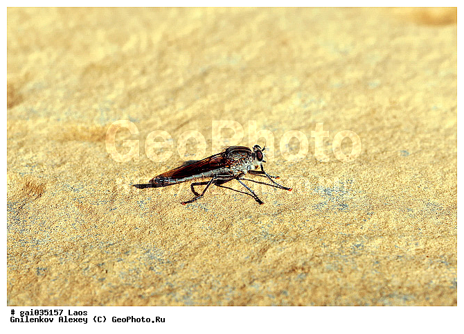 ����, ��������, ���������, ��������������, �������������, ��������������