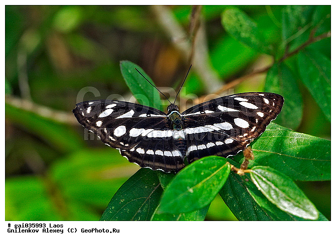 ����, �������, ��������, ���������, ���������, �����������, ��������������, �������������, ��������������