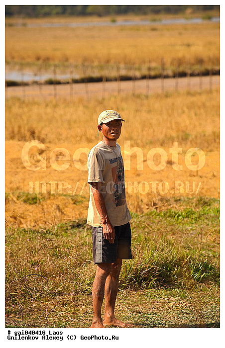 ����, �������, ����, ���, ������� ����, �������