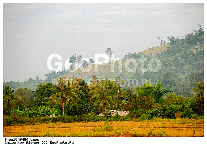 ����, ����, ���, ������� ����