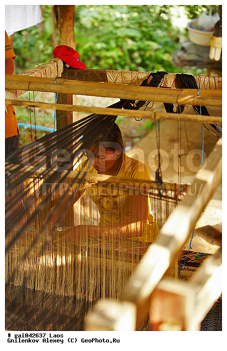 ����, ���������, �����, ������� ������, �������