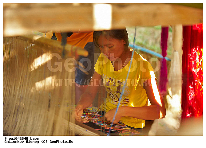 ����, ���������, �����, ������� ������, �������