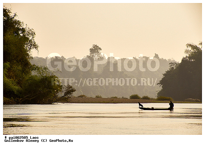 ����, �����, ����, �������