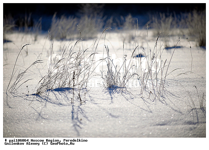 �����������, ����, ������, ����, ����