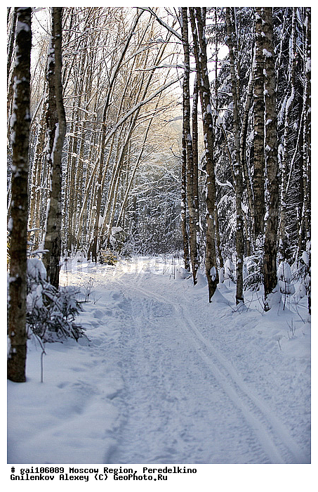 �����������, ������, ����, ���, ������, ����