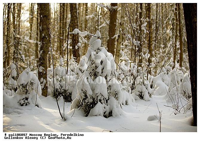 �����������, ����, ���, ������, ����