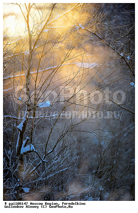 �����������, ����, ���, ������