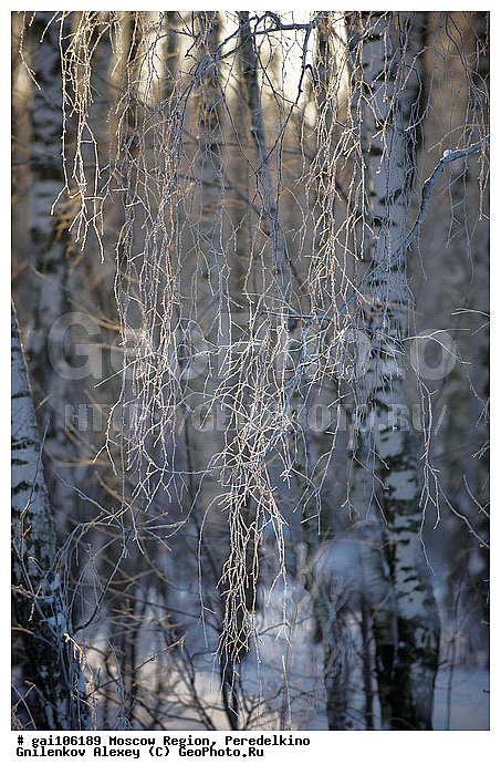 �����������, ������, ������, ����, ���, ������